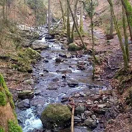 Vakantieverblijf Nature *