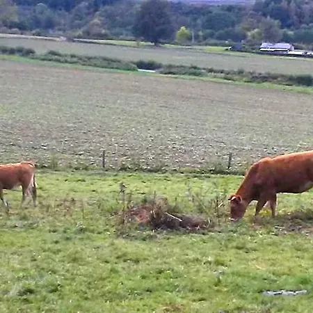 Vakantieverblijf Nature 酒店 弗朗科尔尚