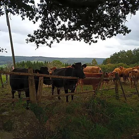 Vakantieverblijf Nature Francorchamps
